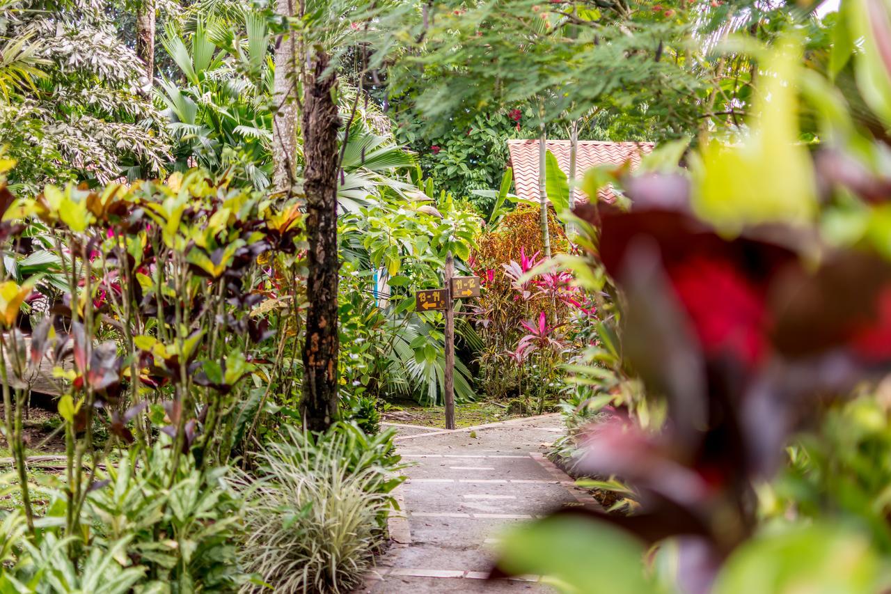 Atlantida Lodge Cahuita Εξωτερικό φωτογραφία