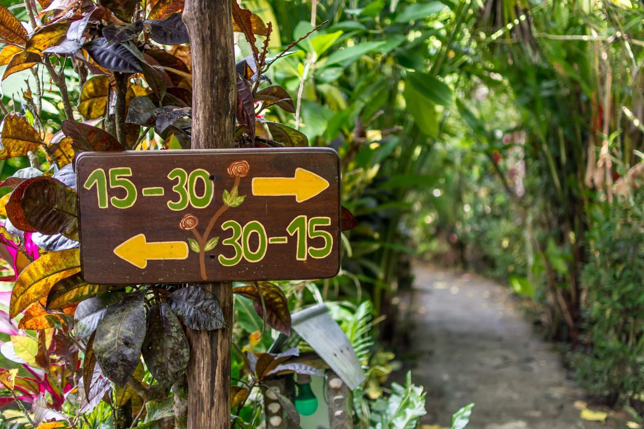 Atlantida Lodge Cahuita Εξωτερικό φωτογραφία
