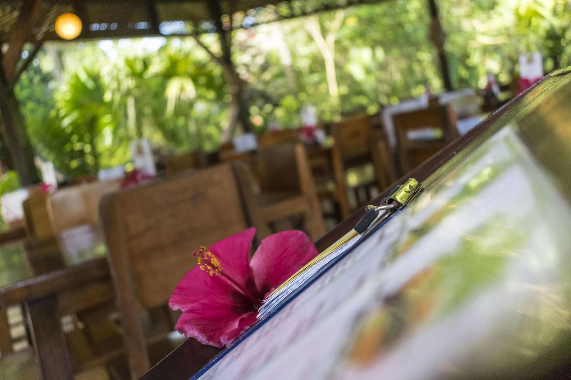 Atlantida Lodge Cahuita Εξωτερικό φωτογραφία